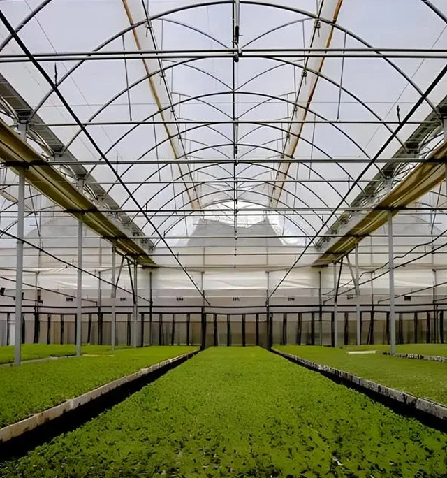 Sera camı Blog ve indirme