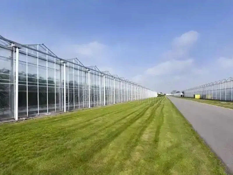 Akıllı cam seraların avantajlarının analizi